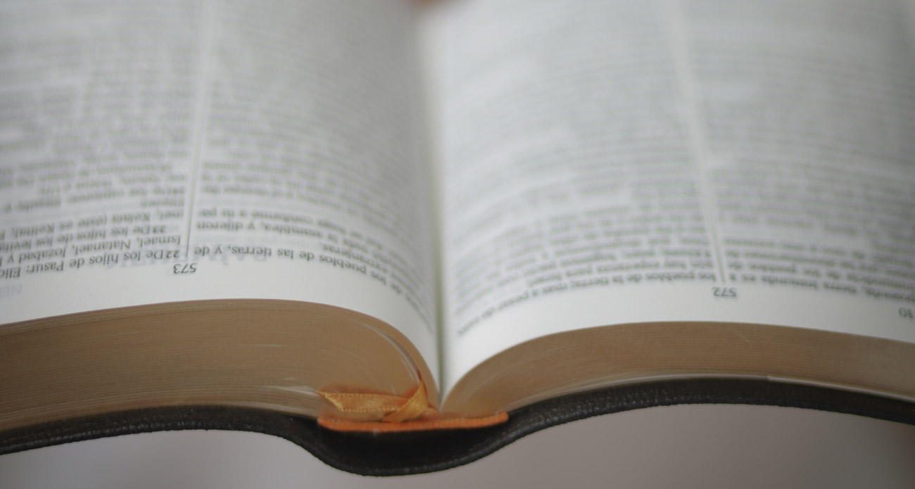 Buch